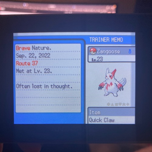 caught a zangoose yesterday