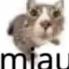 MEOW- Cyriak ( sped up)