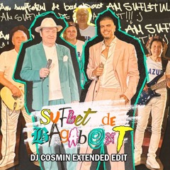 Andrei Banuta x Nelu Vlad & Azur – Suflet de Bagabont- DJ COSMIN EDIT mp3