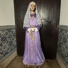 wings in motion [ramo edit]