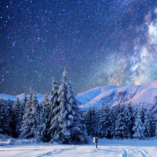 Sparta Winterfall Mix V2