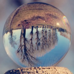 Topsy Turvy