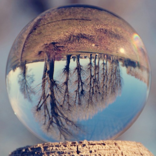 Topsy Turvy