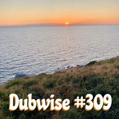 Dubwise #309