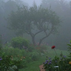 i am a parasite and i will latch onto anything and destroy it