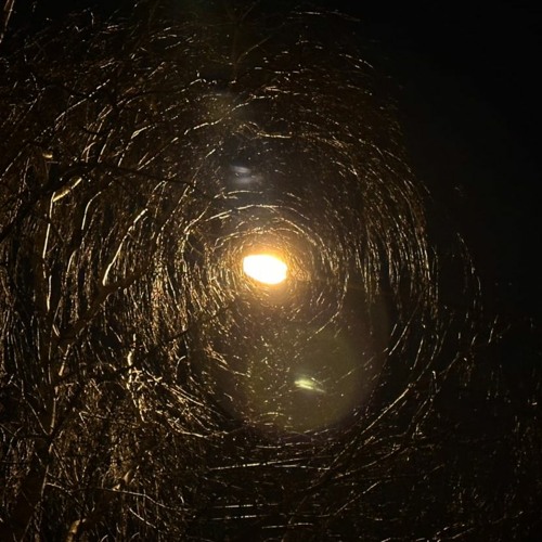 plgthg - ♯letter for her