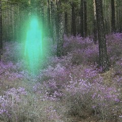 𝔏𝔬 𝔳𝔬𝔶 𝔞 𝔰𝔢𝔤𝔲𝔦𝔯 𝔥𝔞𝔠𝔦𝔢𝔫𝔡𝔬! // [𝔭𝔯𝔬𝔡.@𝔶𝔫𝔳𝔠𝔢𝔢𝔯𝔬]