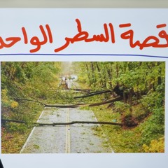 قصة السطر الواحد _ بسيطة لكن عجيبة 😮 _ ( دورة علمني رسول الله ) _( القصص النبوي ) _علاء حامد