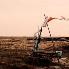 Dustland