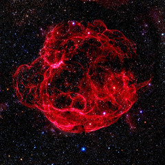 Supernova eyes