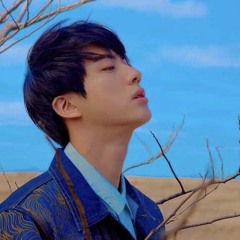 BTS JIN - Awake