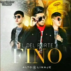 Alto Linaje - El Del Porte Fino (Exclusive)