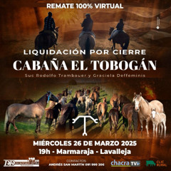 Graciela Deffeminis - Liquidación cabaña El Tobogán