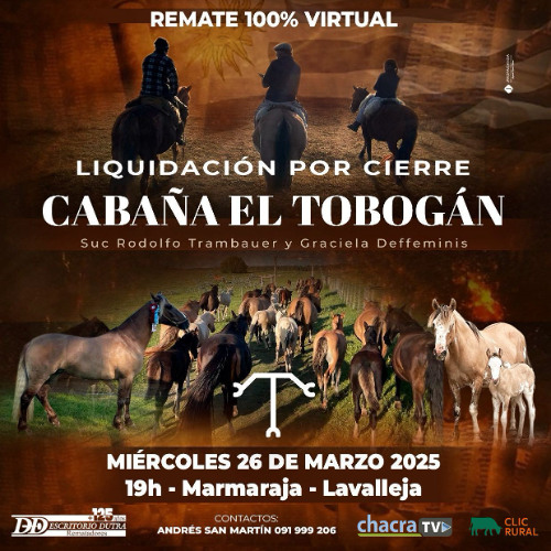 Graciela Deffeminis - Liquidación cabaña El Tobogán