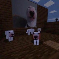 Das Ein South Side Beat