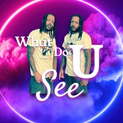 What Do U See