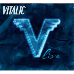 Filth 'n' Dirt Go Ahead (Vitalic Garage Remix Live at AB 27-10-06)