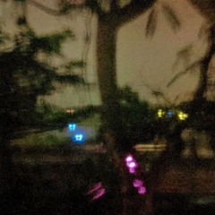 NightHowl (Instrumental)