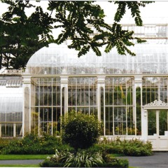 Escape Process w/ Dylan Forbes - June 2021