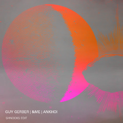 What To Do &me, Guy Gerber, Ankhoi (shnooks edit)