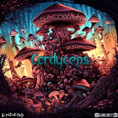 Enderr - Cordyceps