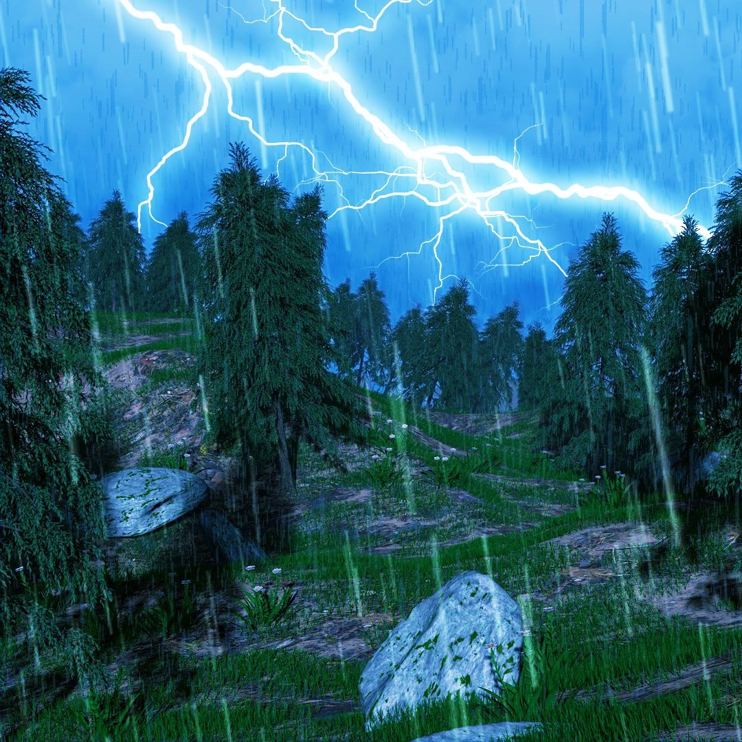 Listen to Forest Rain Sounds For Sleep | Thunderstorm White Noise (75 ...