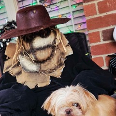 You Prove Me Wrong (Midnight Syndromes)