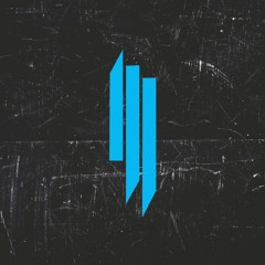 Ping Pong (DEMO) - Skrillex