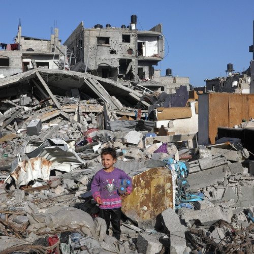 754 - לרדת מהעץ