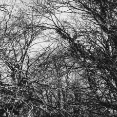 Colt - Esquive (Groovetrigger Edit)