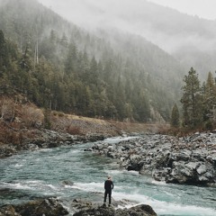 A Walk In The Wild