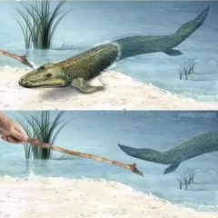 Wannabe with your eyes closed (Tool)