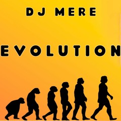 DJ Mere - Evolution