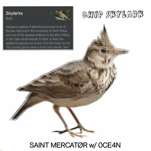 SAINT MERCATØR - chip skylark w/ 0CE4N [jayms]