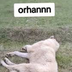 gecenin kapısını hiçbir el kapayamaz