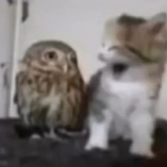 b0lit - dj tripple flameboy (slowed)