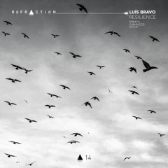PREMIERE: Luís Bravo - Resilience (Canavezzi Remix)