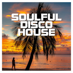 Soulful Disco House Mix 2025 (By Basti Pyke)
