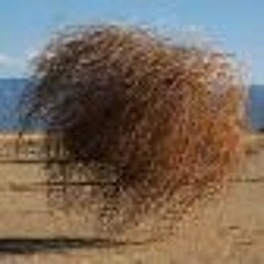 Tumbleweed Waltz