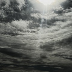 Bridge Hound - Crash & Burn Mystery