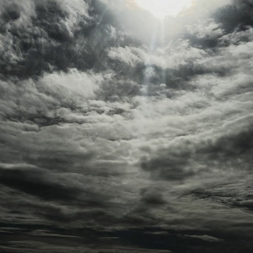 Bridge Hound - Low Key Shade