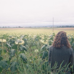 House Hip Hop Trap Phonk Soulection Tribute #2