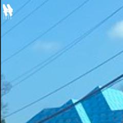 blue and purple is their clothing: