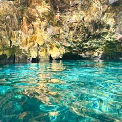 Afro | Latin House Odyssey 🌊🤍