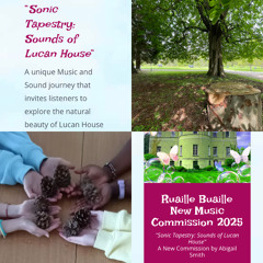 Sonic Tapestry: Sounds of Lucan House
