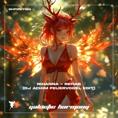 Rihanna - Rehab (DJ Achim Feuervogel Edit)