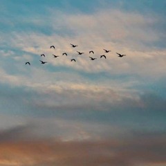 ذا أثر ... يوما سنفني كُلُنا 🤎
