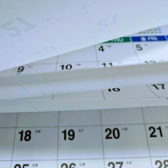 365x3(SingleVersion)