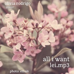 All I Want - Olivia Rodrigo, HSMTMTS (cover by lei)