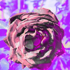 Moloko - Sing It Back (Nwfriend Remix)